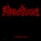Crionics (Slayer Cover) - Merciless lyrics
