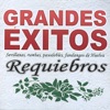 No me riñas