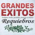 No me riñas