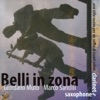Giordano Muto - Sacra terra del ticino