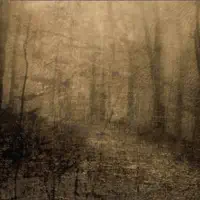 Demons & Dandelions — Bitcrush