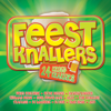 Feestknallers - Various Artists