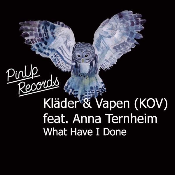 What Have I Done (feat. Anna Ternheim)
