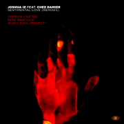 Sentimental Love (Audio Soul Project Remix 2) - Joshua Iz, Chez Damier & Audio Soul Project