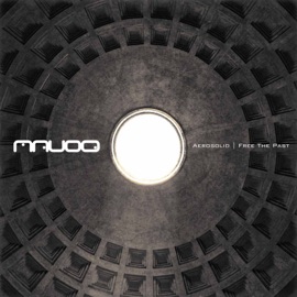 Free the Past (Original Mix) Mauoq