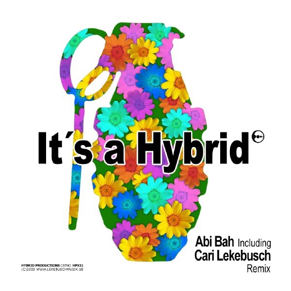 Cover of It's a Hybrid