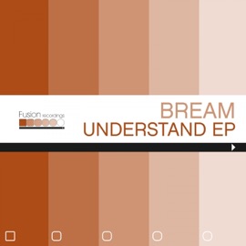 Understand (Vocal Mix) Bream