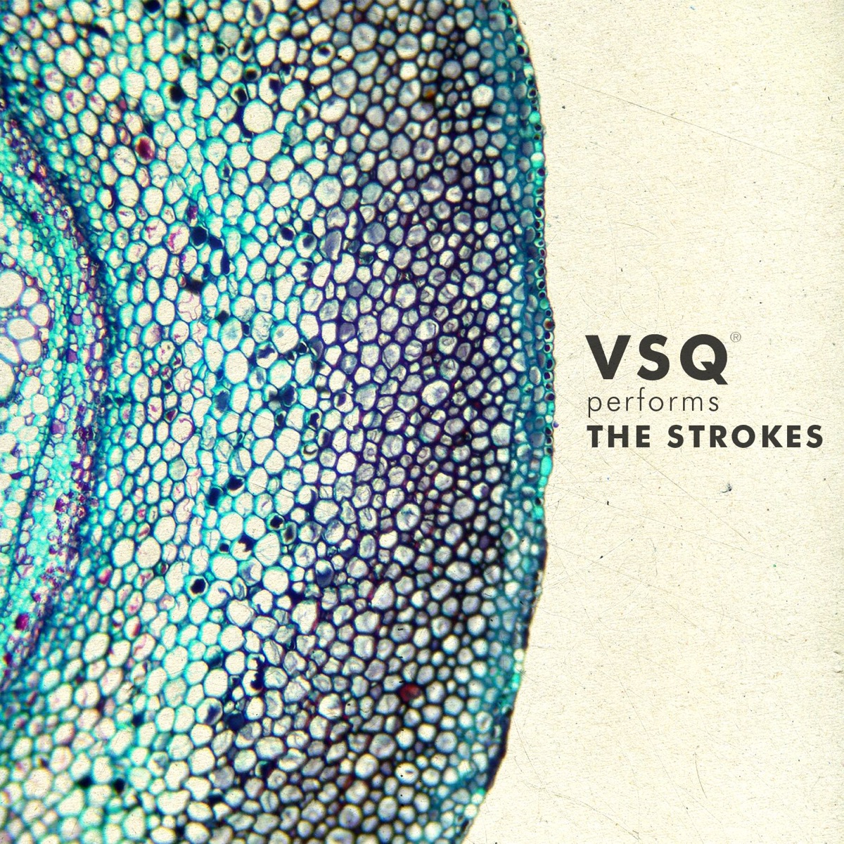 VSQ Performs The Strokes cover art