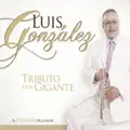 Homenaje A Barretto