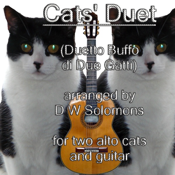 Cats Duet (Duetto Buffo Di Due Gatti) With Guitar