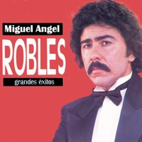 Grandes Éxitos: Miguel Angel Robles - Miguel Angel Robles