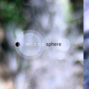 Microsphere