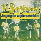 Je Ging de Wijde Wereld In