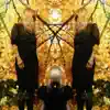Austra - The Beast