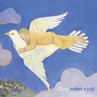Robert Wyatt