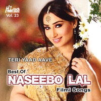 Teri Yaad Aave - Best Of Naseebo Lal Filmi Songs Vol. 23 - Naseebo Lal