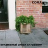 Ornamental Urban Shrubbery