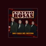 Cuatro Rosas