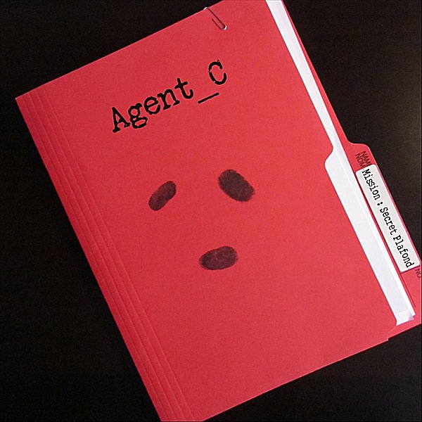 Mission : Secret Plafond