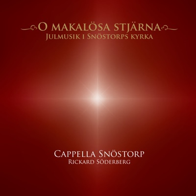 O Makalösa Stjärna (Julmusik I Snötorps Kyrka) (feat. Rickard Söderberg)