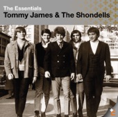 Tommy James - Crystal Blue Persuasions (Single Version)