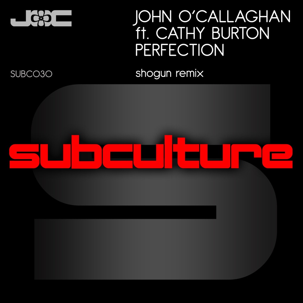 Обложка альбома «Perfection (feat. Cathy Burton) - Single» — John O'Callaghan