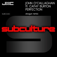 Perfection (feat. Cathy Burton) - Single - John O'Callaghan