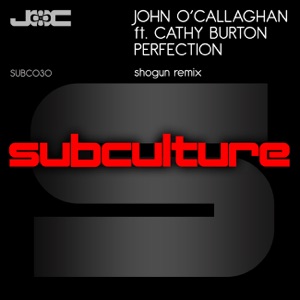 Perfection (feat. Cathy Burton) - Single