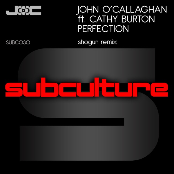 Perfection (feat. Cathy Burton)