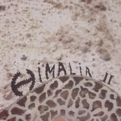 Listen to II by Himalia