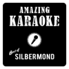 Best of Silbermond (Karaoke) - Amazing Karaoke