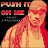 Push It On Me (Remix) [feat. Waka Flocka] - Single