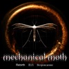 Mechanical Moth - Cathedral