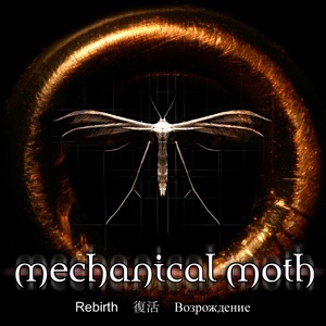 Mechanical Moth - Cathedral Lyrics - Zortam Music