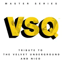 I'm Waiting for the Man — Vitamin String Quartet