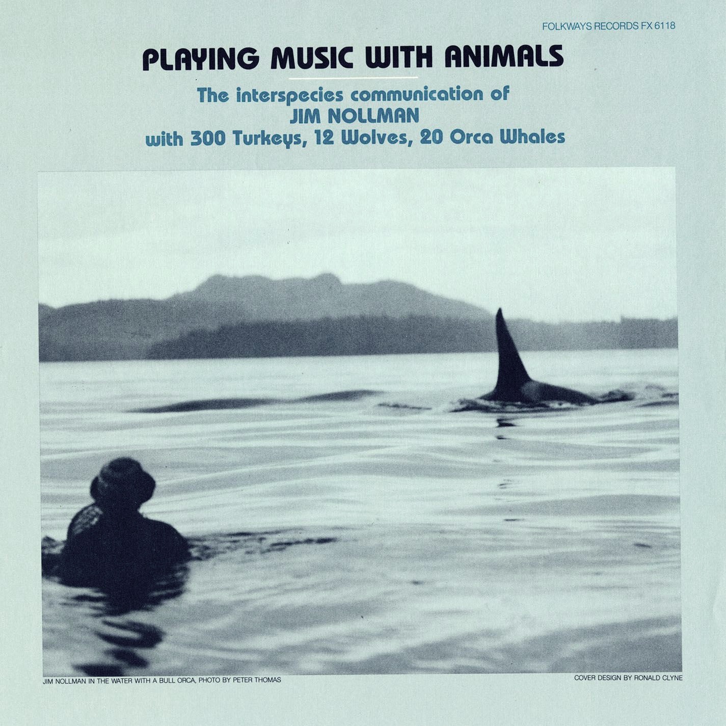 Playing Music With Animals: Interspecies Communication of Jim Nollman With 300 Turkeys, 12 Wolves and 20 Orcas