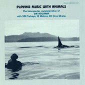 Jim Nollman - Orcas and Waterphone