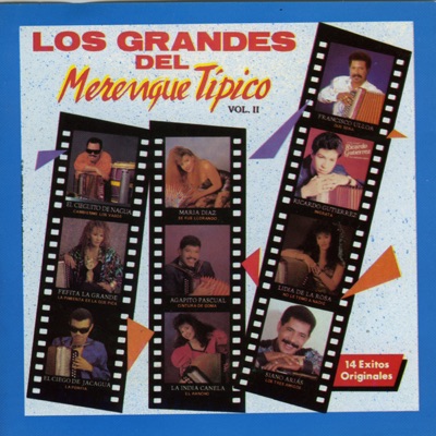 Los Grandes del Merengue Típico, Vol. 2
