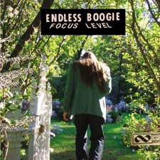 Endless Boogie - Executive Focus