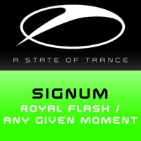 Royal Flash / Any Given Moment - EP - Signum
