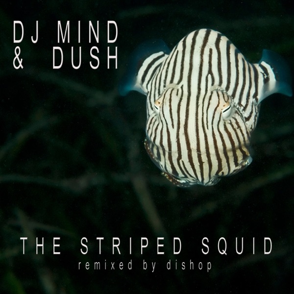 The Striped Squid - Single