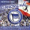 Jetzt erst recht (feat. Hertha BSC) - Compañia lyrics