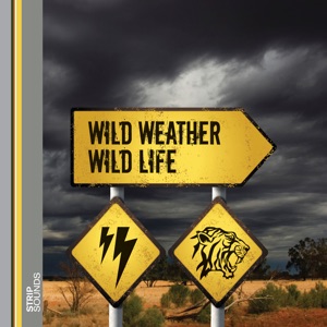 Wild Weather Wild Life - the Aftermath