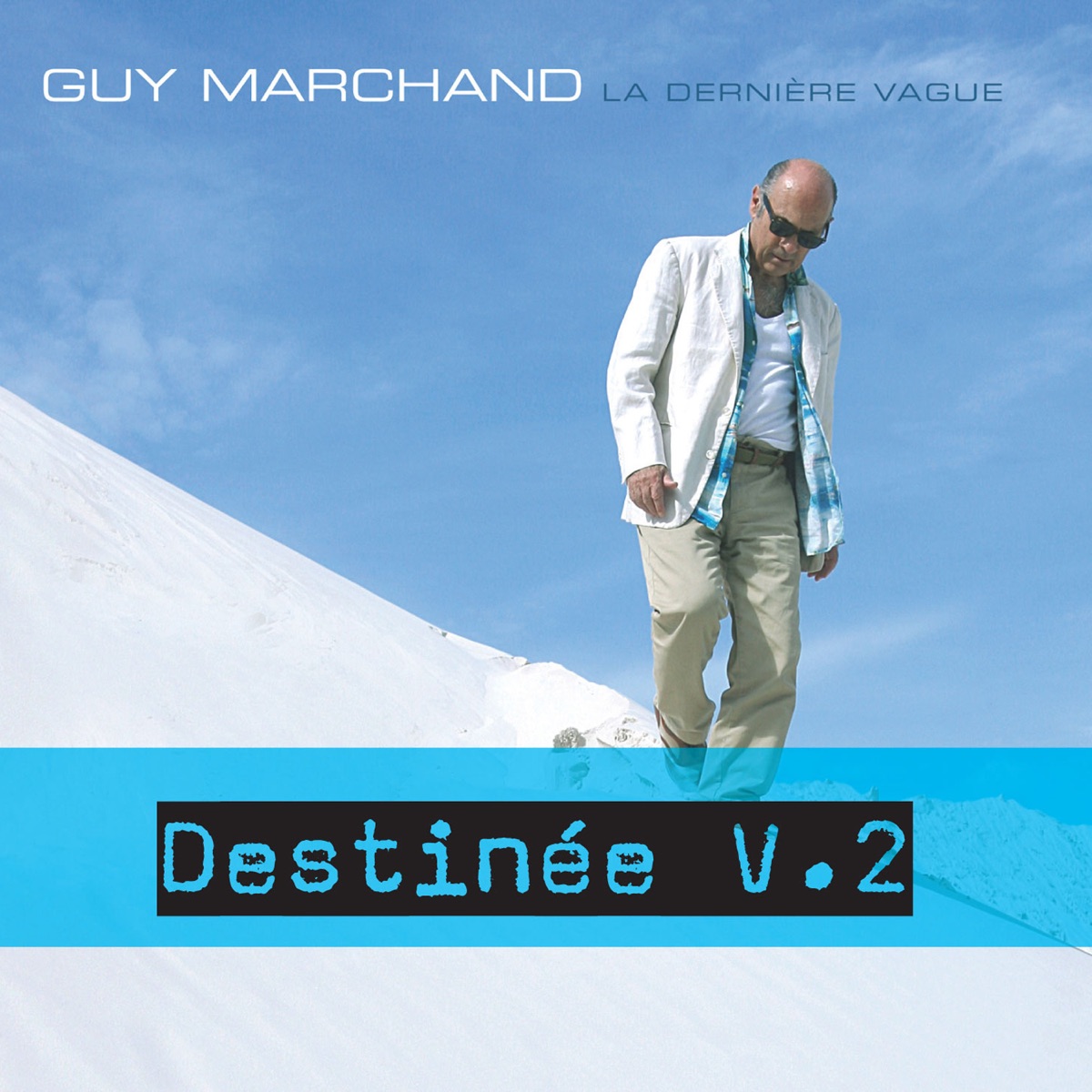 Pochette du titre Destinée