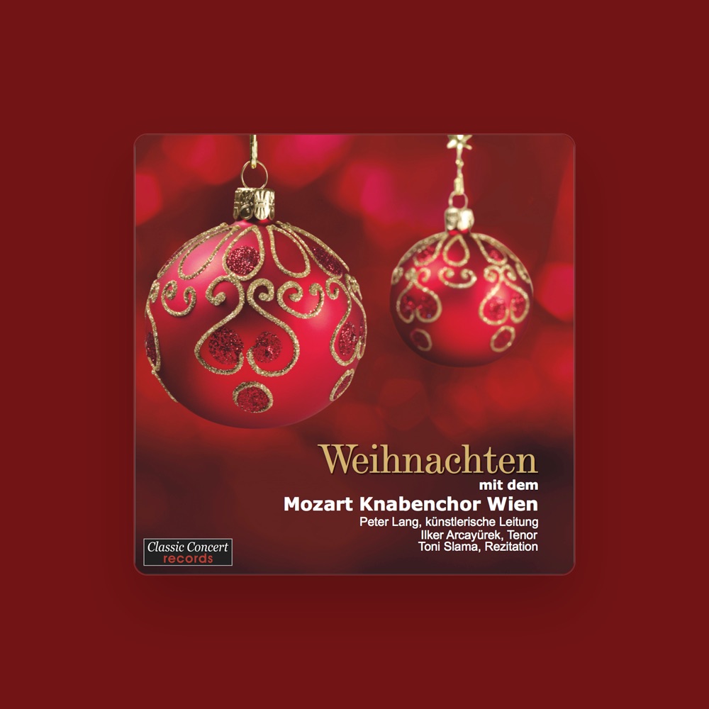 Фото Mozart Boys Choir Vienna