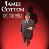 James Cotton - Dealing With The Devil