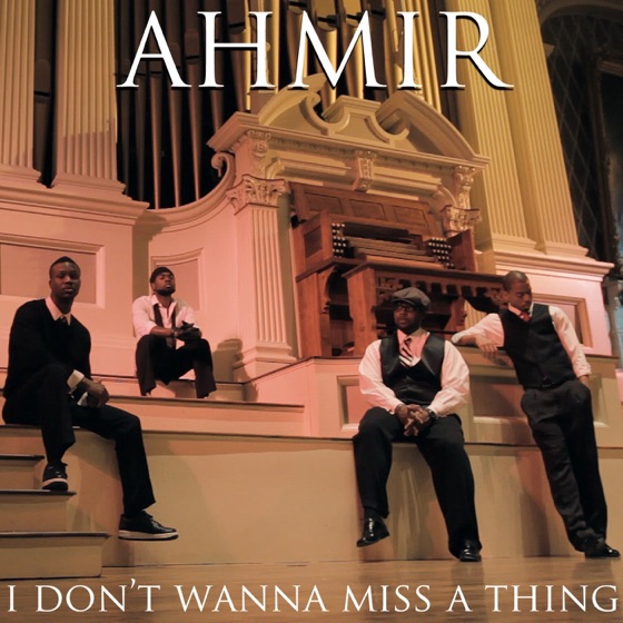 Cover artwork for I Don't Wanna Miss a Thing (Cover)