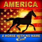 A Horse With No Name