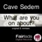 What Are You On About? - Cave Sedem lyrics