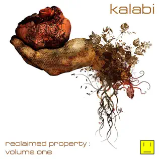 Album herunterladen Kalabi - Reclaimed Property